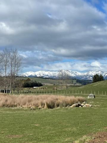 Boutique Tiny House - Te Anau Country Accommodation Exterior photo